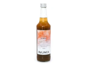 Sirup s kořením: Dýňový 500ml